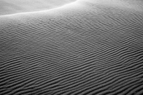 big_data_Momentary_Reality_IV