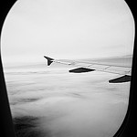 bout d aile by marillaume