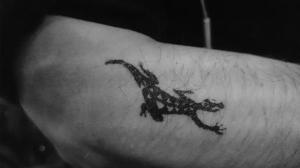 tatoo gecko